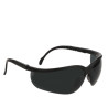 Ochelari Vision