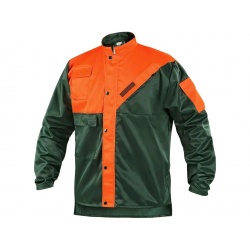 Domenii de Activitate